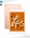 Ipad Mini 5 WiFi 3